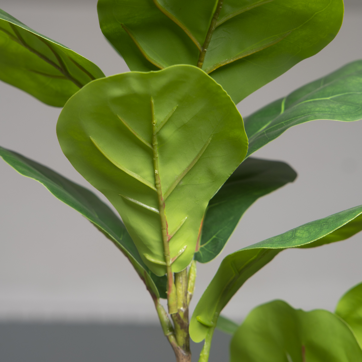 103cm/132cm Artificial Ficus T - Rubber Plant Ficus บทวิจารณ์และราคา