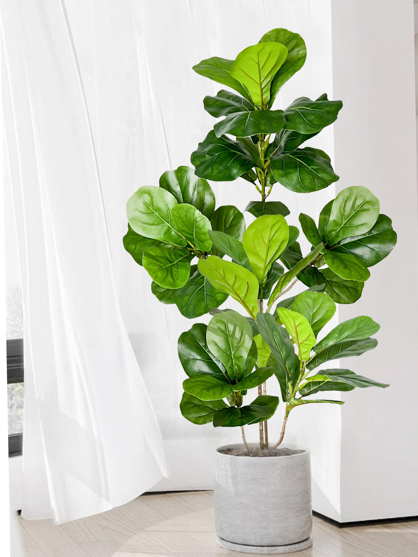 70-135cm Large Artificial Ficu - Rubber Plant Ficus บทวิจารณ์และราคา