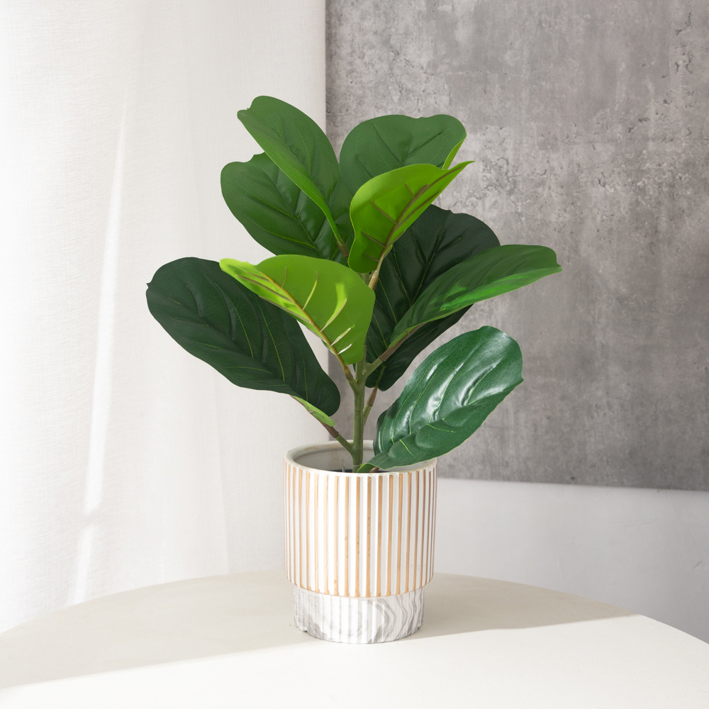 38cm 9 Forks Artificial Ficus  - Rubber Plant Ficus บทวิจารณ์และราคา