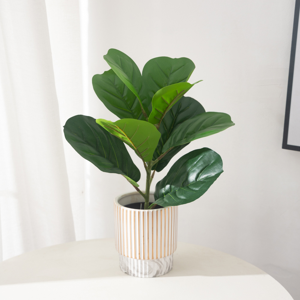 38cm 9 Forks Artificial Ficus  - Rubber Plant Ficus บทวิจารณ์และราคา