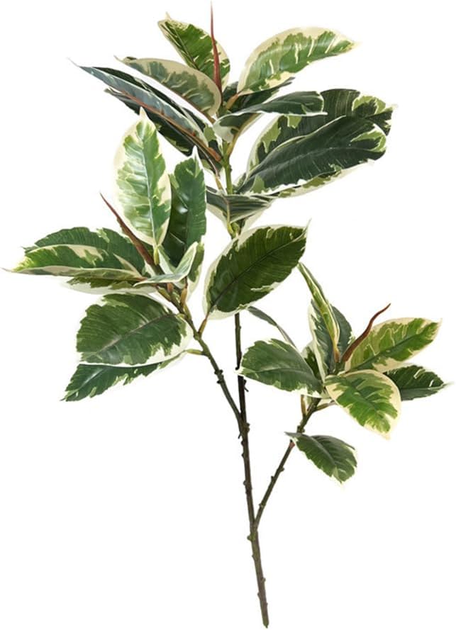 Ficus Tineke Artificial Plant  - Rubber Plant Ficus บทวิจารณ์และราคา