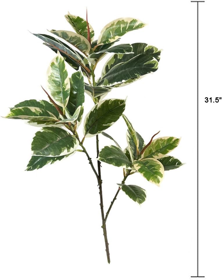 Ficus Tineke Artificial Plant  - Rubber Plant Ficus บทวิจารณ์และราคา