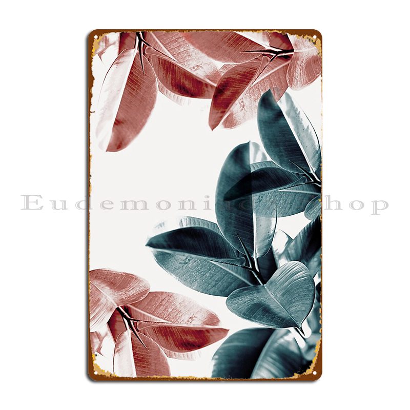 Rubber Plant Leaves Green And  - Rubber Plant Ficus บทวิจารณ์และราคา