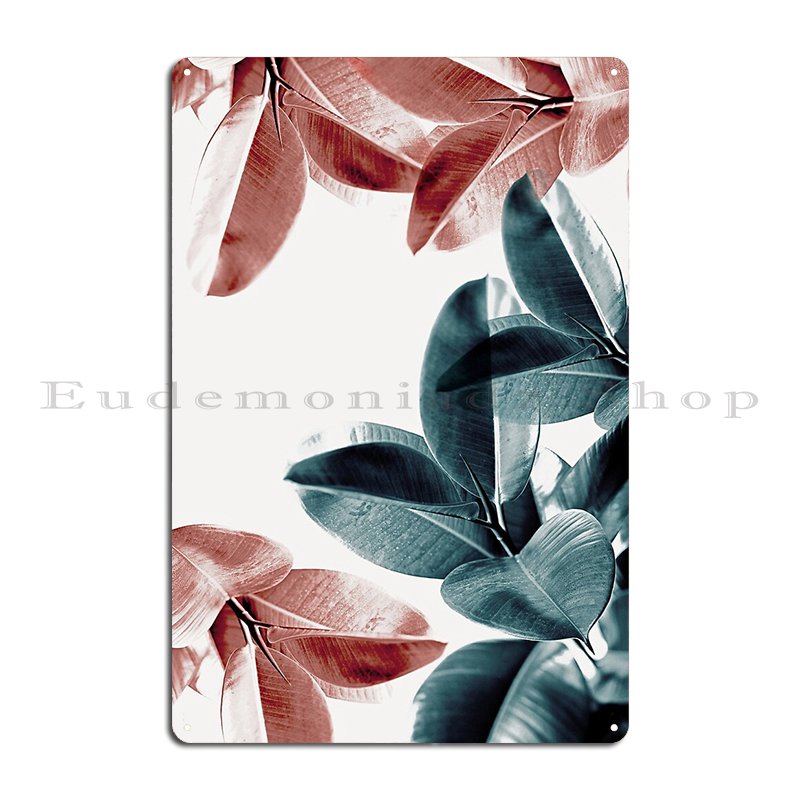 Rubber Plant Leaves Green And  - Rubber Plant Ficus บทวิจารณ์และราคา