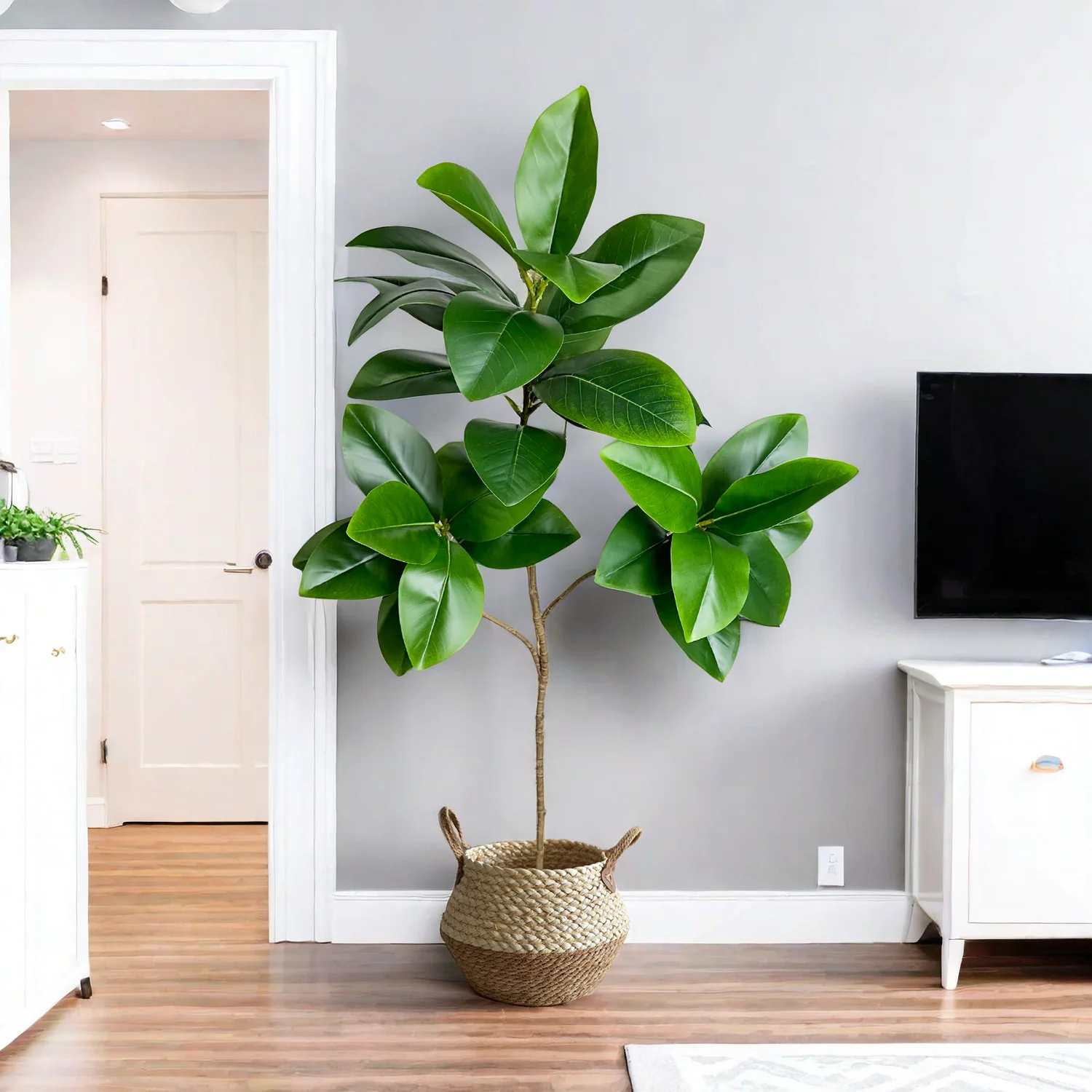 70/135cm Artificial Ficus Tree - Rubber Plant Ficus บทวิจารณ์และราคา