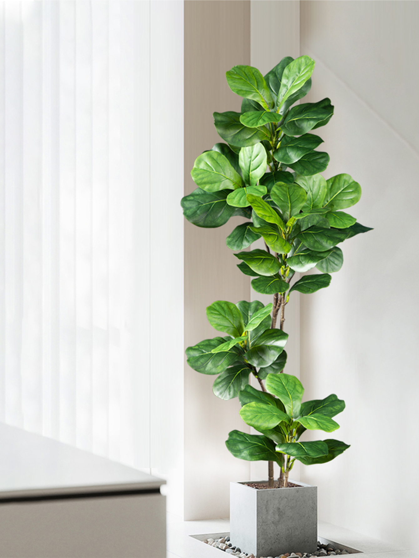 70-135cm Large Artificial Ficu - Rubber Plant Ficus บทวิจารณ์และราคา